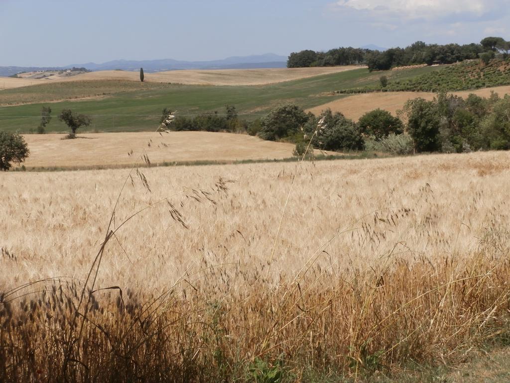 Agriturismo Poggio Sassineri Villa Magliano in Toscana Exterior foto