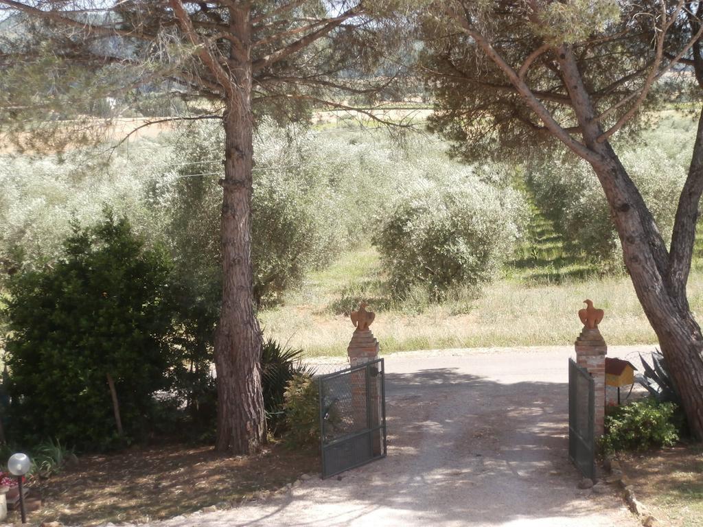 Agriturismo Poggio Sassineri Villa Magliano in Toscana Exterior foto