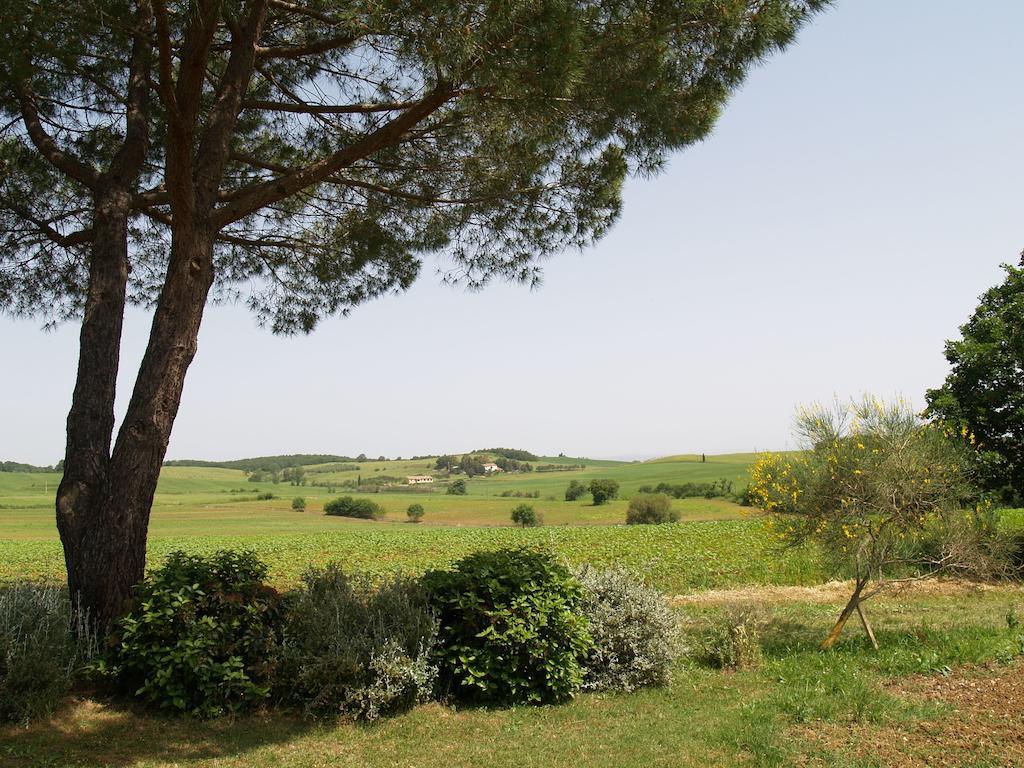 Agriturismo Poggio Sassineri Villa Magliano in Toscana Exterior foto