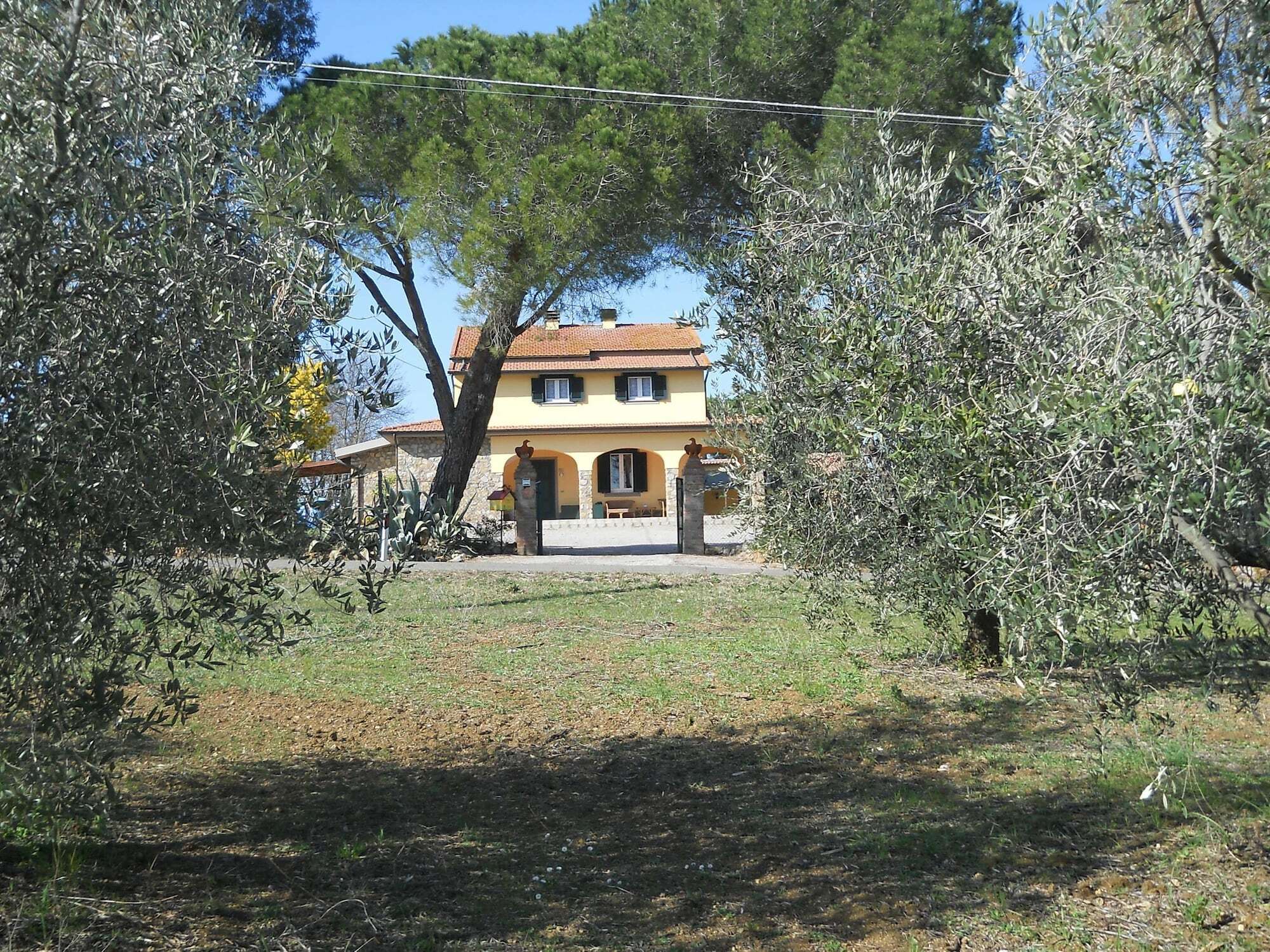 Agriturismo Poggio Sassineri Villa Magliano in Toscana Exterior foto